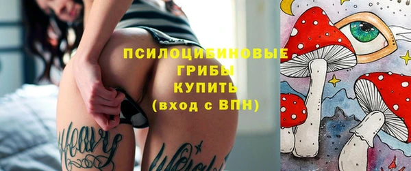 PSILOCYBIN Абинск