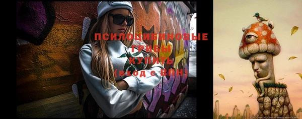 тгк Абдулино